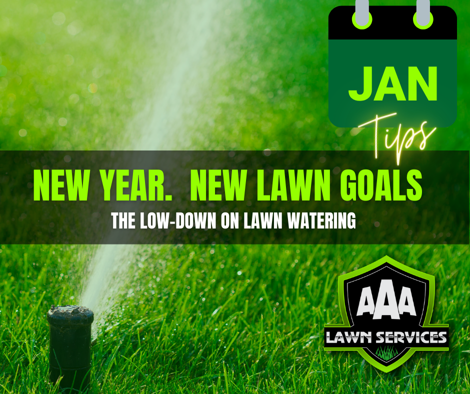 aaa-lawn-services-south-australia-january-lawn-tips