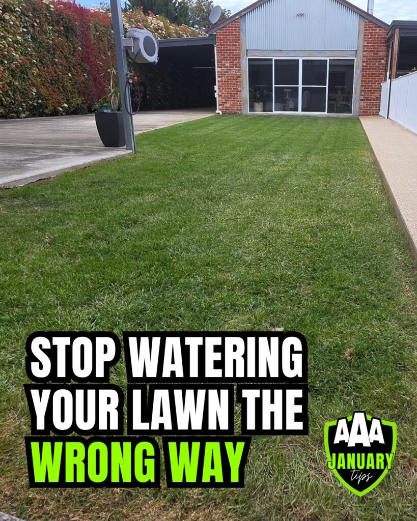 aaa-lawn-tips-january