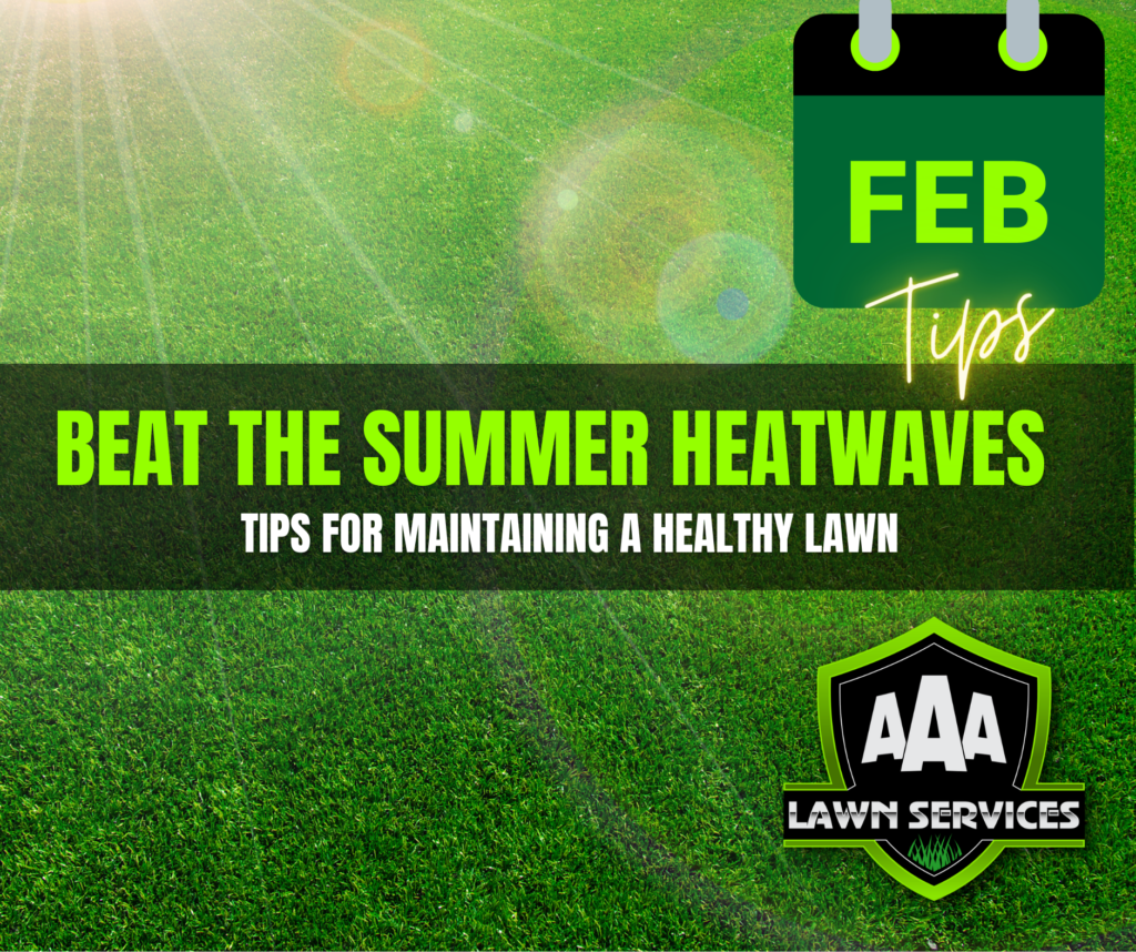 aaa-lawn-services-south-asutralia-february-summer-tips
