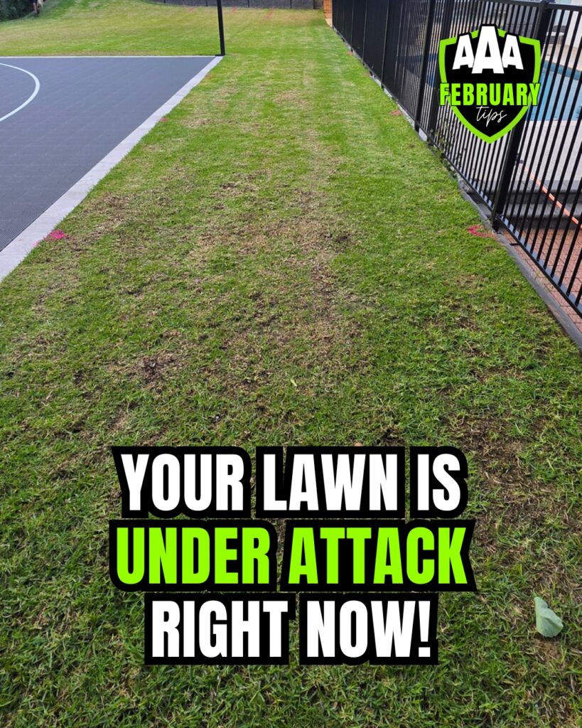 aaa-lawn-tips-february