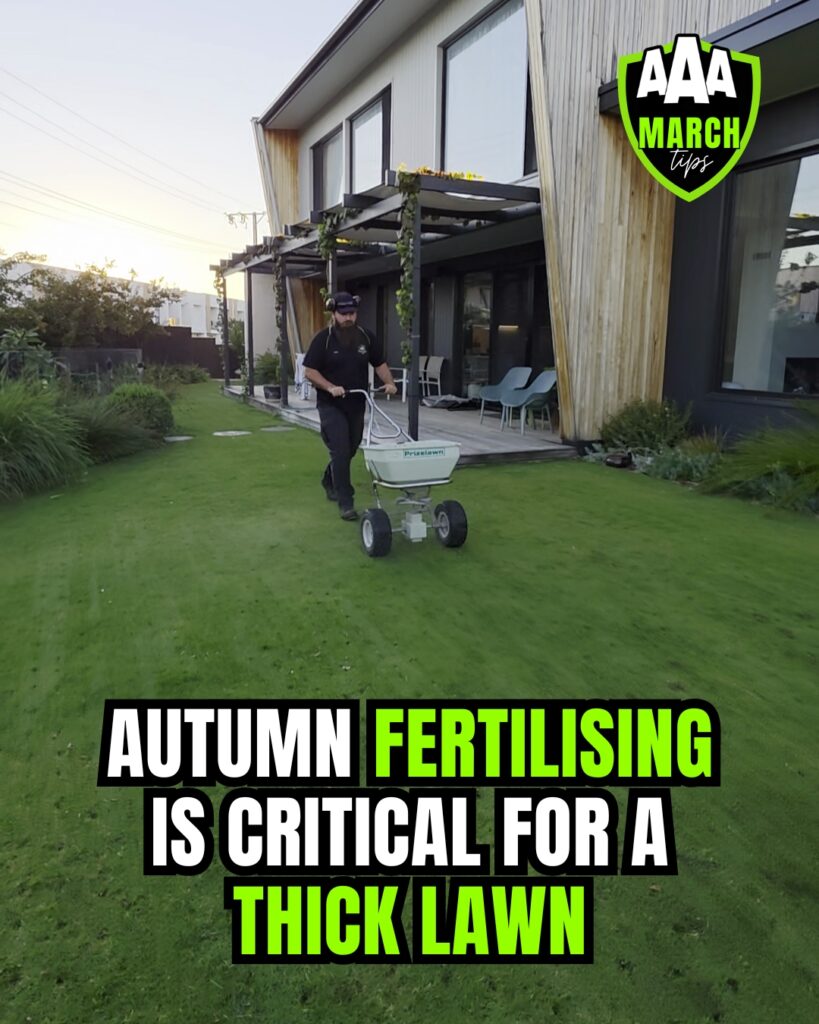aaa-lawn-tips-march