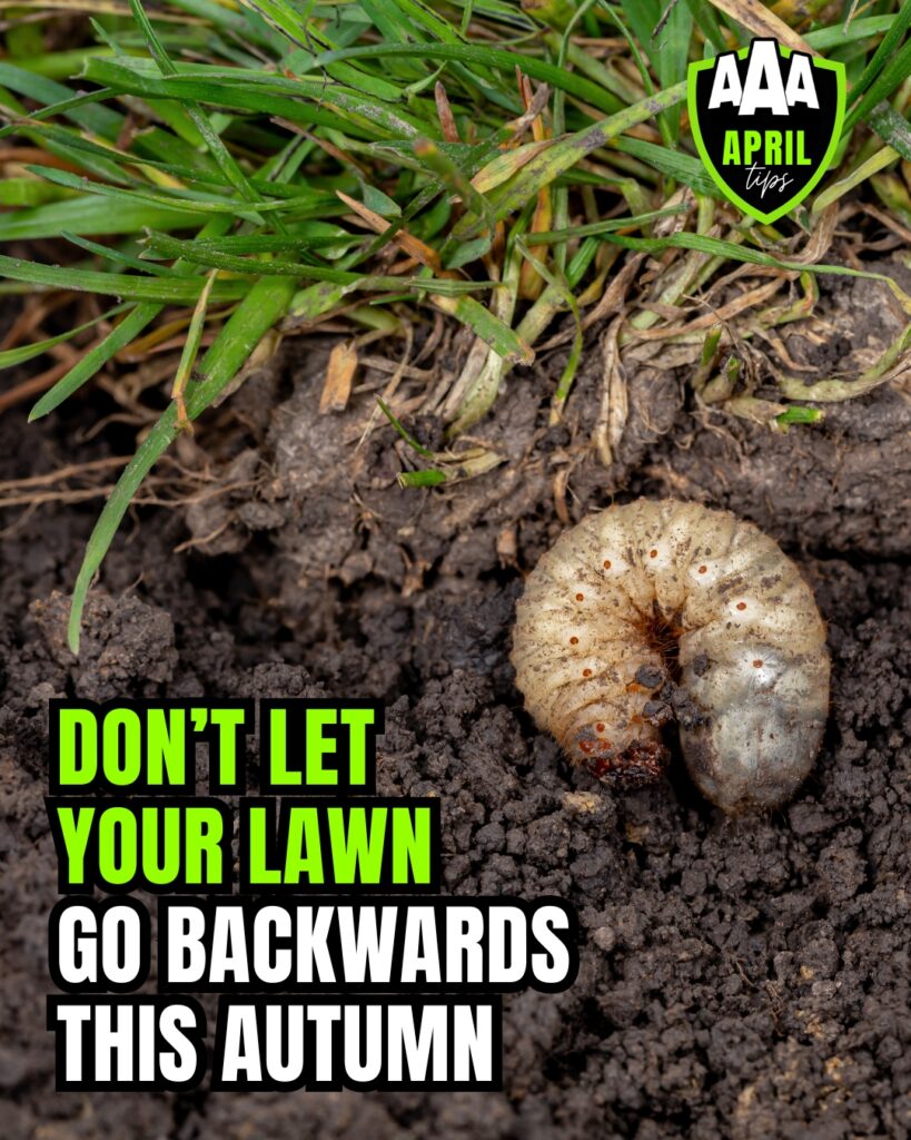 aaa-lawn-tips-april