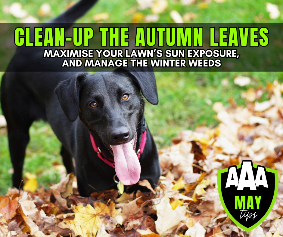 aaa-lawn-services-garden-advice-tips-may-autumn