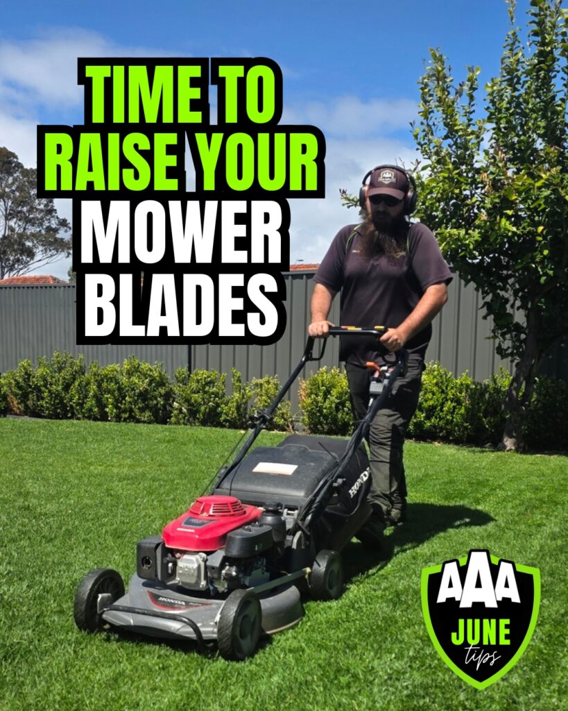 aaa-lawn-services-winter-june-tips-mowing