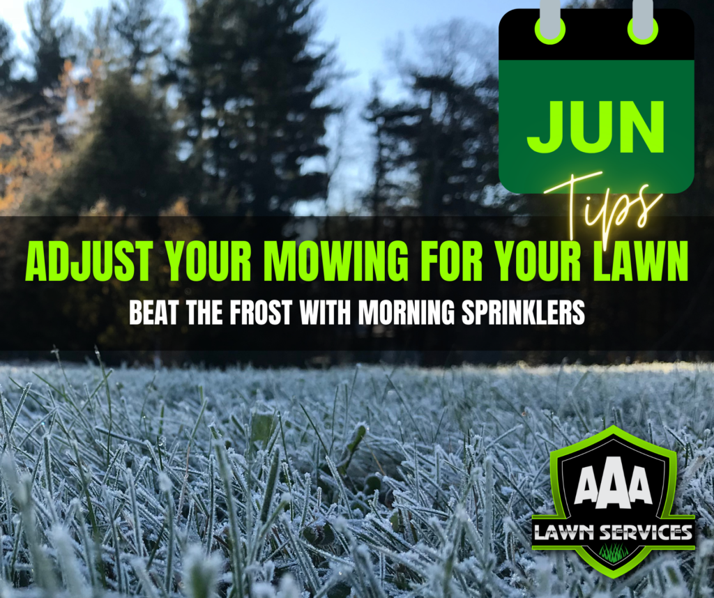 aaa-lawn-services-june-tips-south-australia-gardens