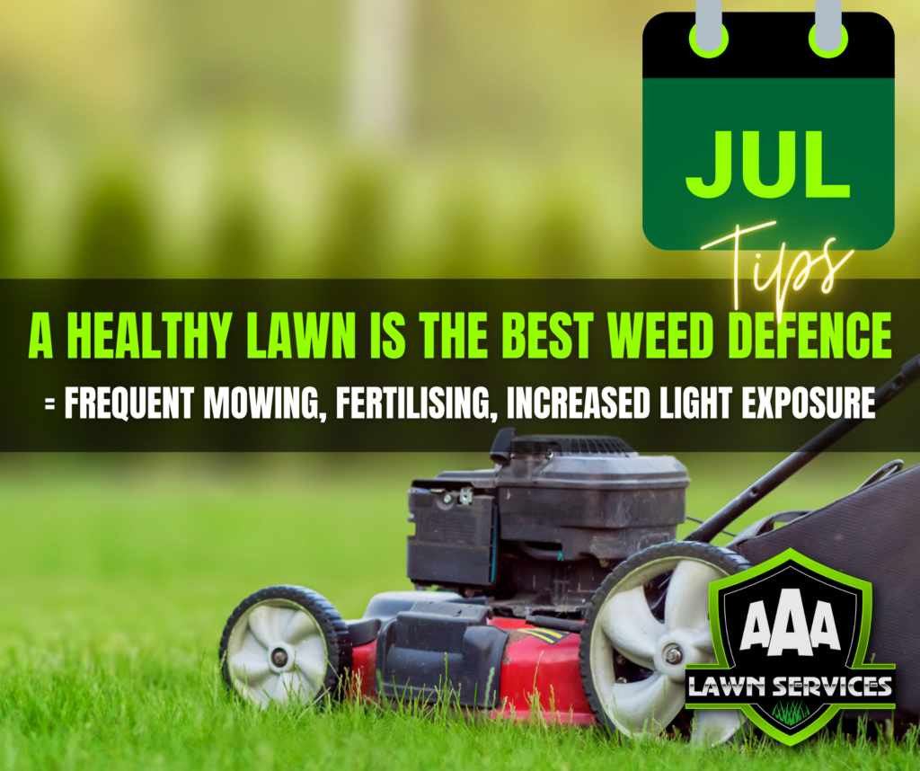 aaa-lawn-services-south-australian-gardens-july-tips