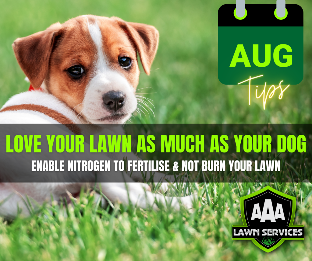 aaa-lawn-services-south-australian-gardens-august-tips
