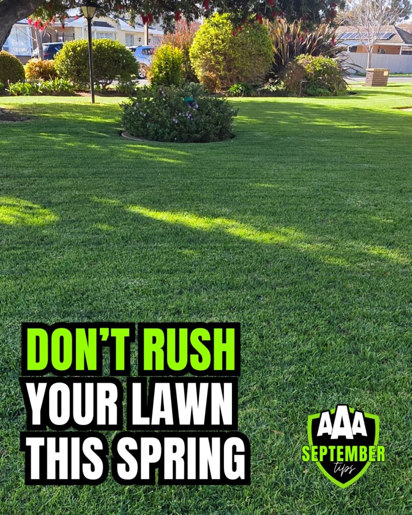 aaa-lawn-tips-september