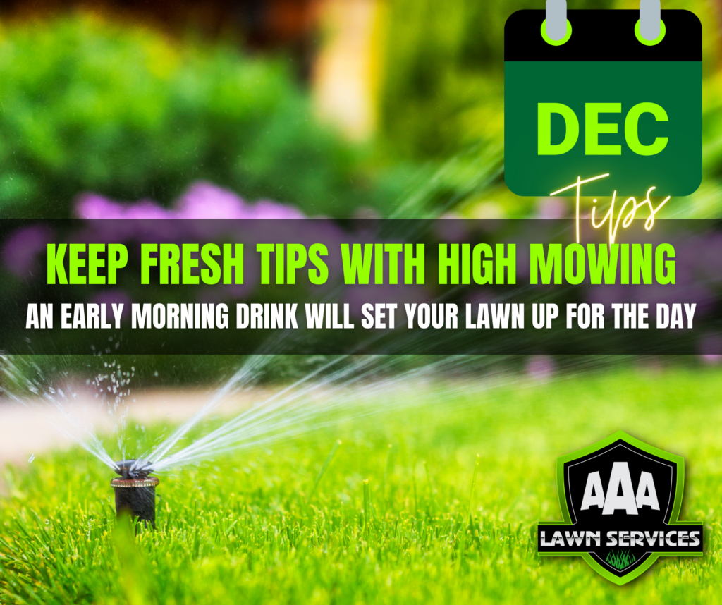 aaa-lawn-care-services-december-lawn-tips