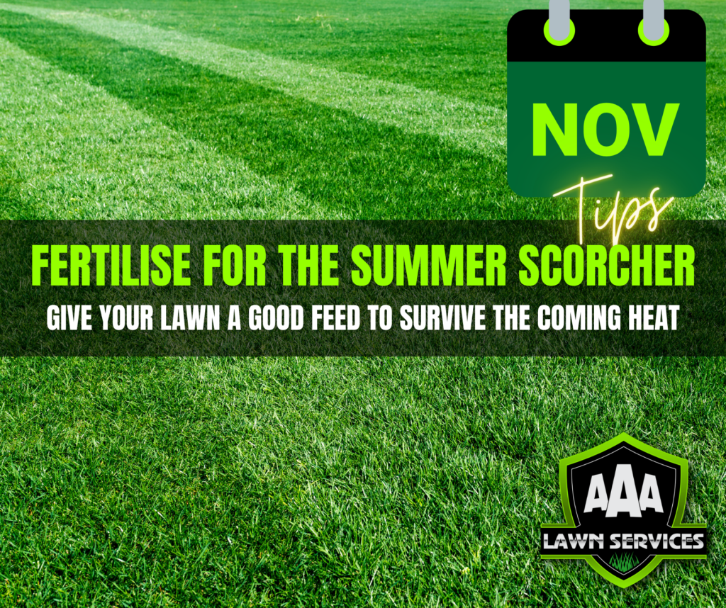 aaa-lawn-care-services-november-lawn-tips