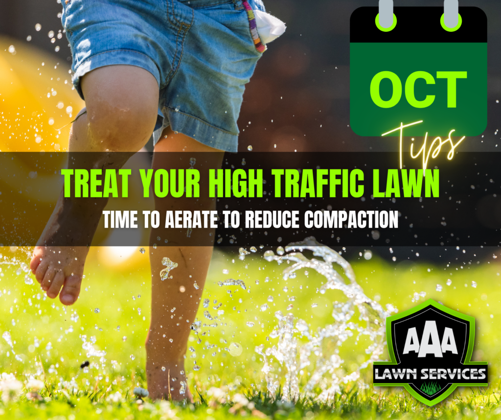 aaa-lawn-care-services-october-lawn-tips
