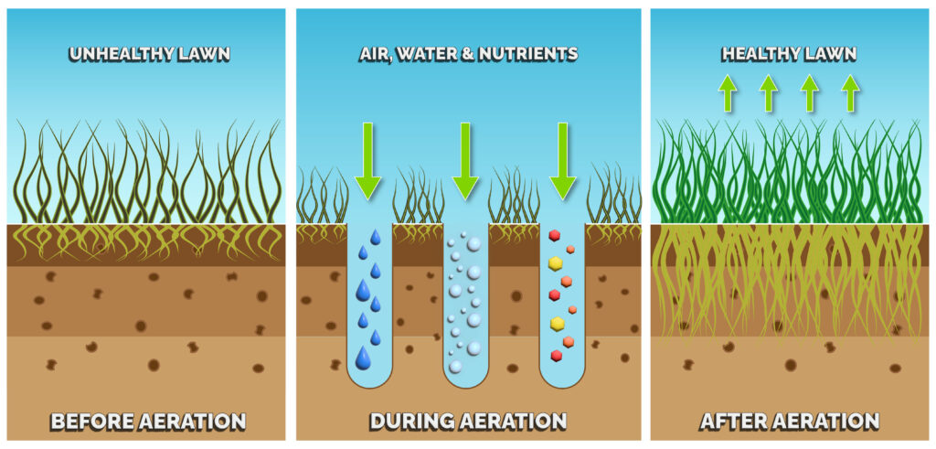 aaa-lawn-services-aeration-coring-nutrients-regeneration