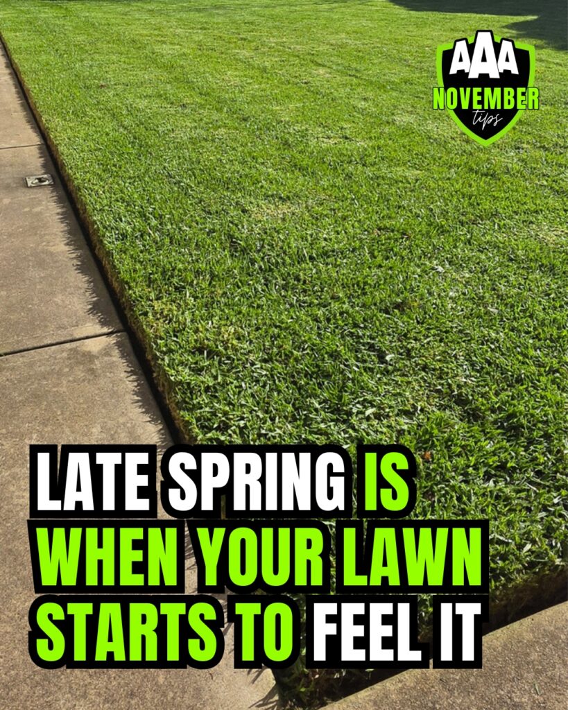 aaa-lawn-tips-november