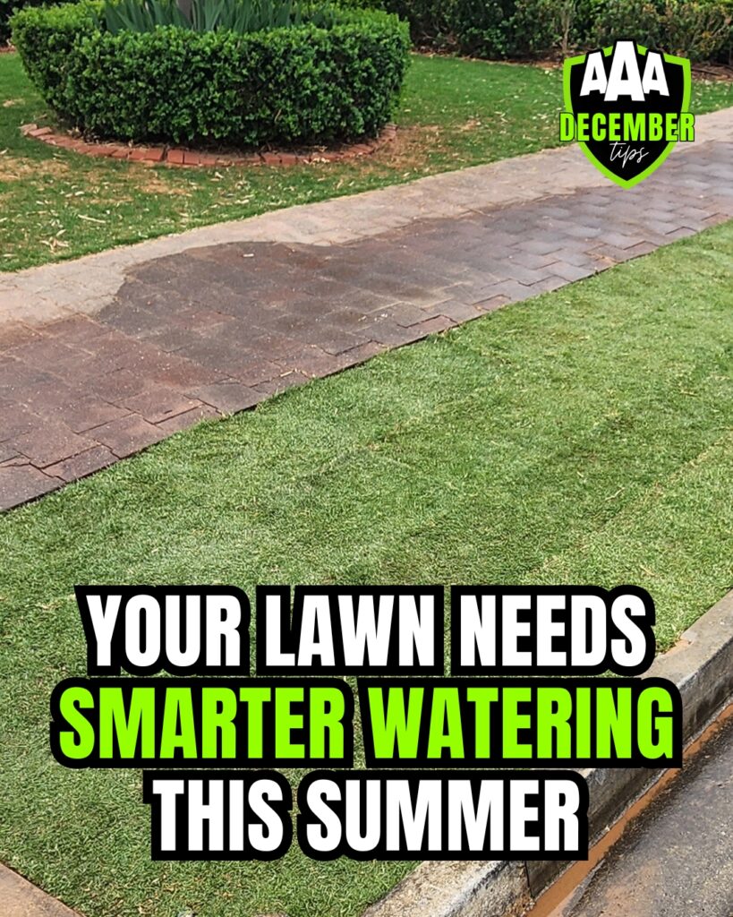 aaa-lawn-tips-december