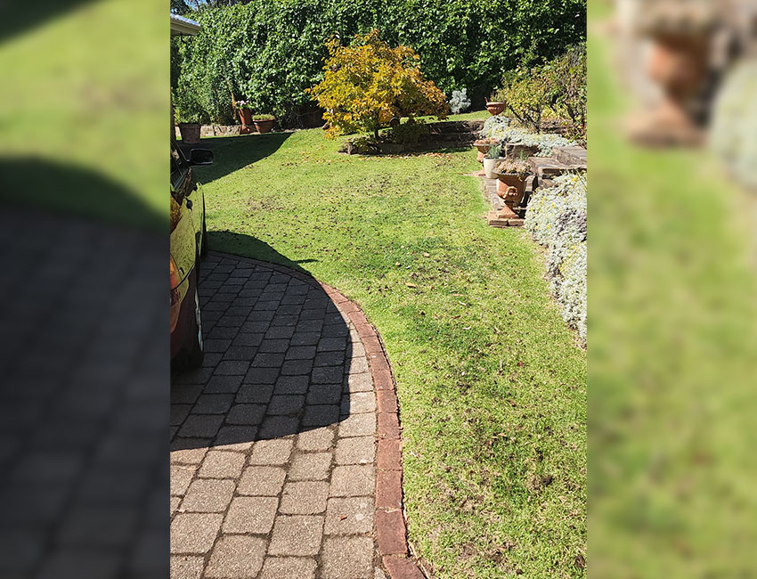AAA-Lawn-Care-Services-Mowing-Trimming-Hedging-Yard-Care-Adelaide-Gawler_0010_d1