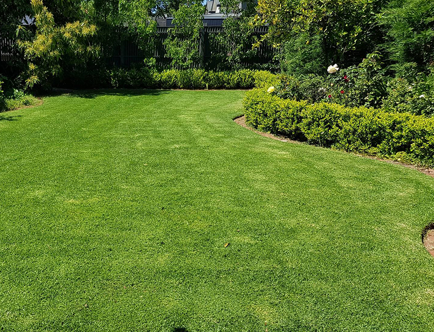 aaa-lawn-care-services-professional-lawn-mowing-3