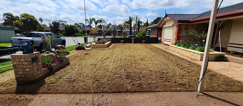 Lawn Scarifying by AAA Lawn Services - Adelaide, West & South.