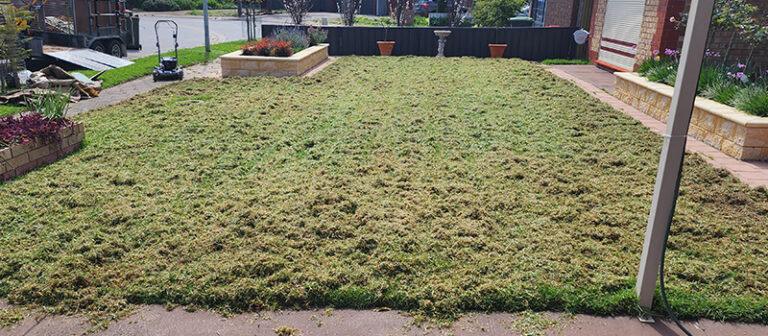 Lawn Scarifying by AAA Lawn Services - Adelaide, West & South.