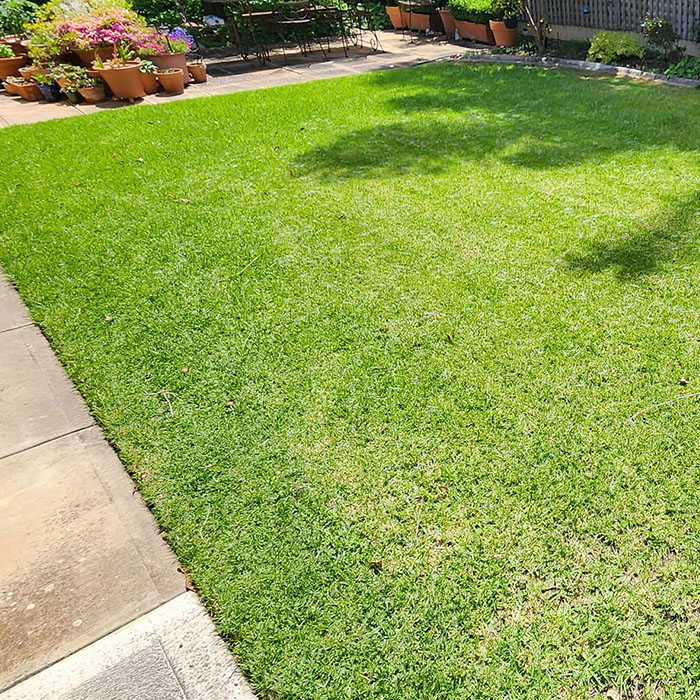 aaa-professional-lawn-mowing-aeration-scarifying-services_01