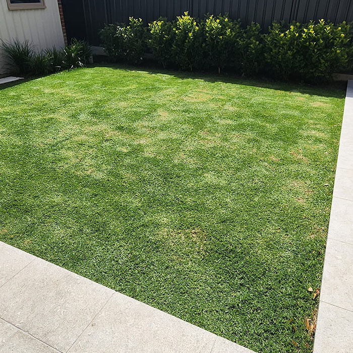 aaa-professional-lawn-mowing-aeration-scarifying-services_02