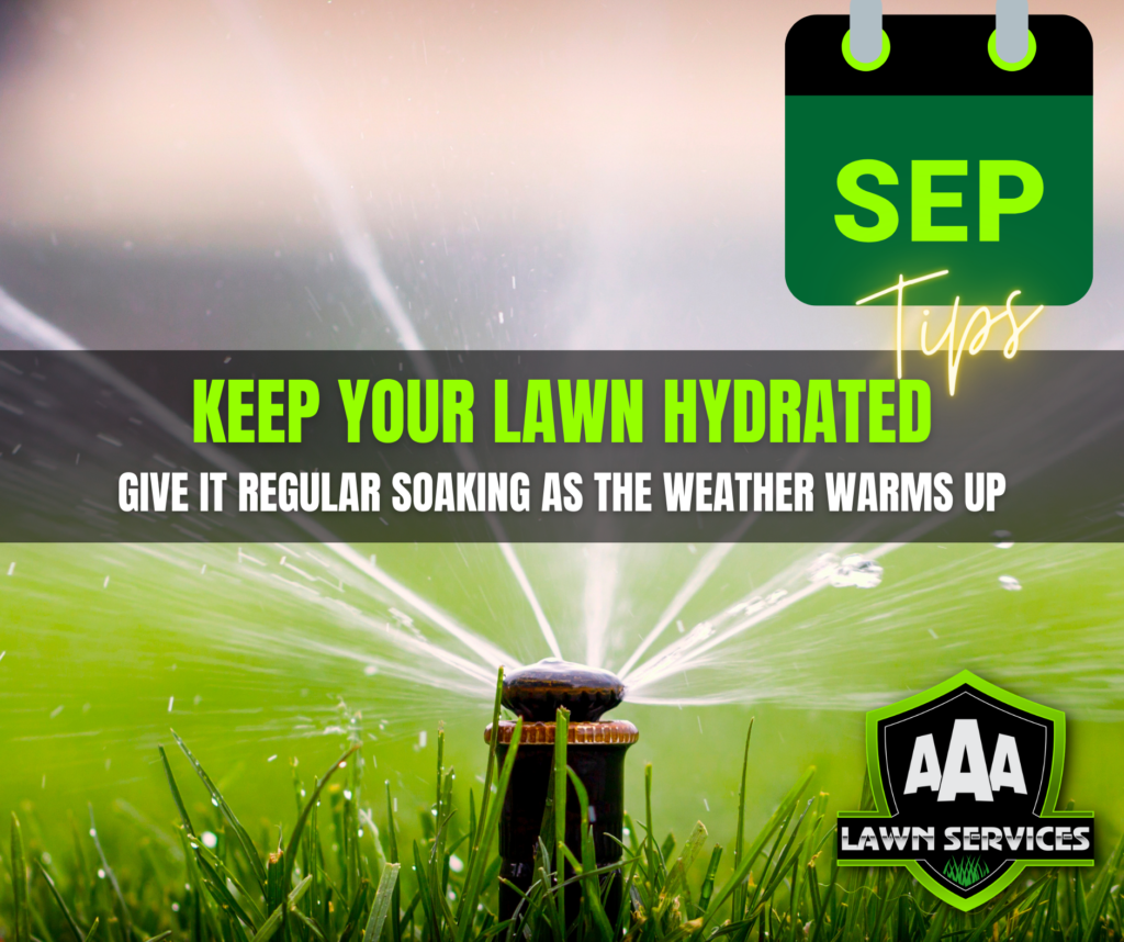 aaa-lawn-services-september-tips-spring-watering