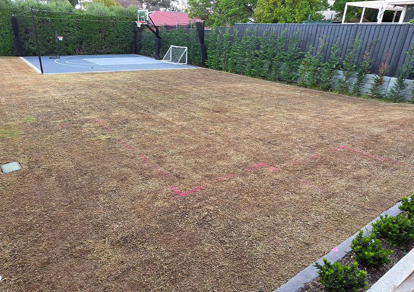 aaa-lawn-care-program-mowing-edging-fertiliser