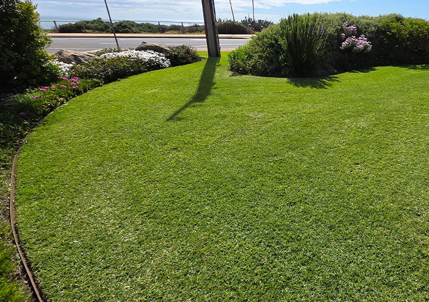 aaa-lawn-care-program-year-round-mowing-fertiliser-pest-control-lush-turf-1