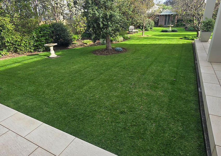 aaa-lawn-care-program-year-round-mowing-fertiliser-pest-control-lush-turf-2