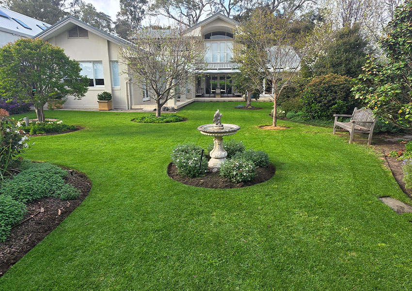 aaa-lawn-care-program-year-round-mowing-fertiliser-pest-control-lush-turf-3