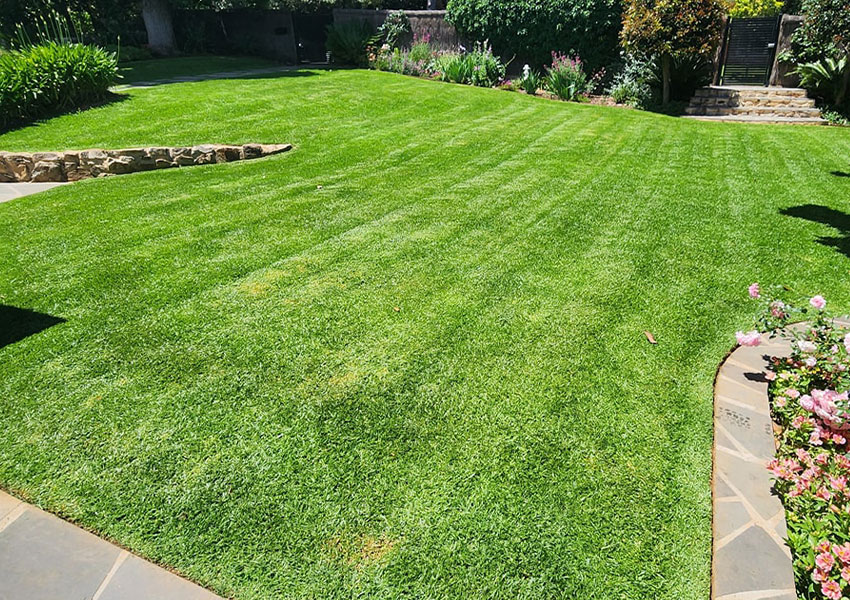 aaa-lawn-mowing-edging-professional-turf-care-south-australia-1