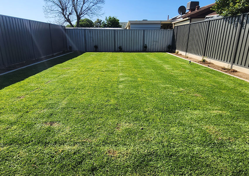 aaa-lawn-services-fertilising-services-year-round2