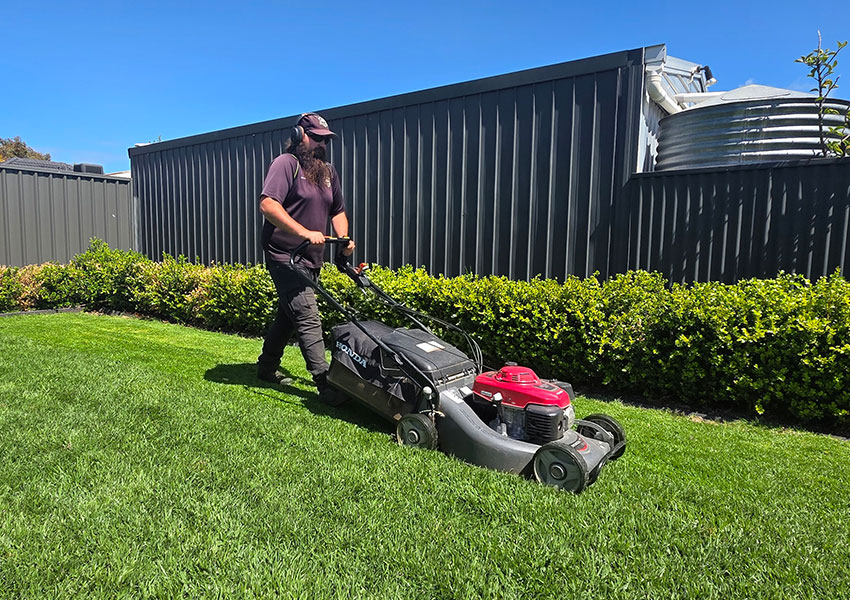 lawn-mowing-edging-services-aaa-south-australia-yards