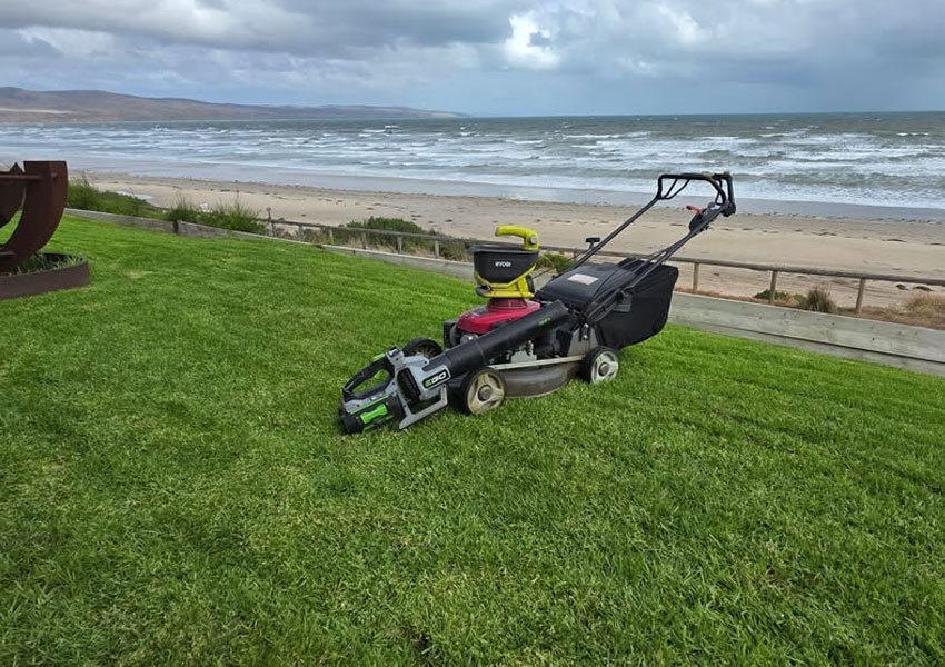 lawn-mowing-services-aaa-edging-turf-south-australia
