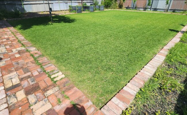 aaa-lawn-services-lawn-transformations-after1